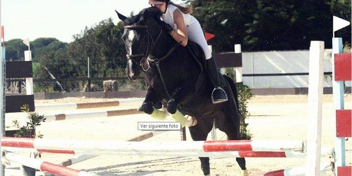 Chris Rodriguez banner