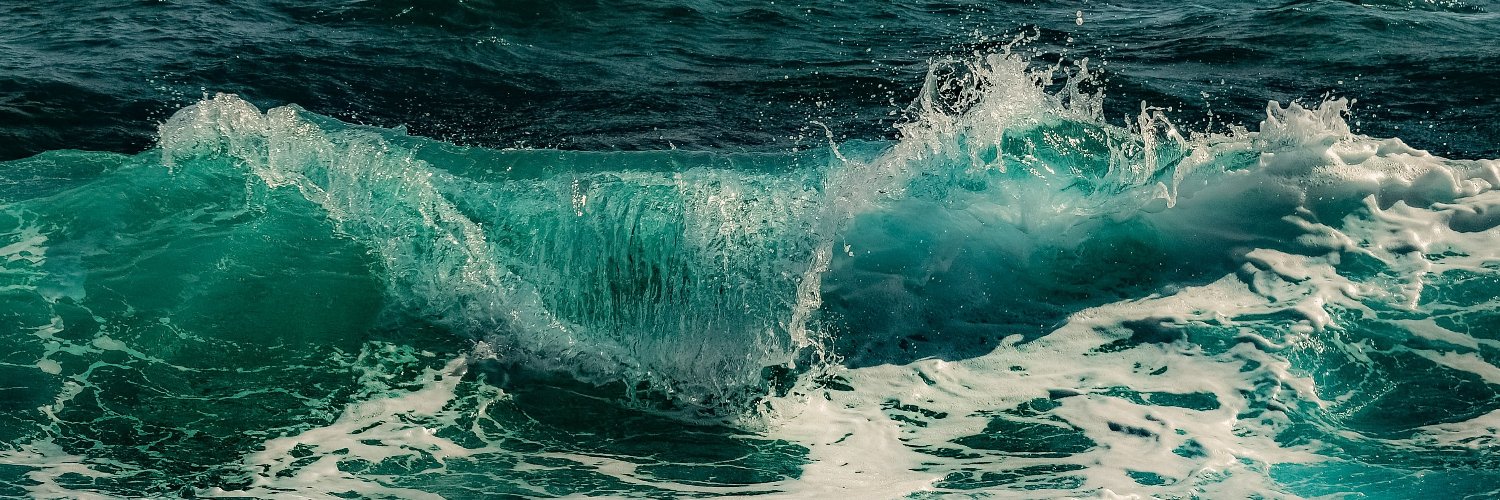 sumikiyo (they/them) banner