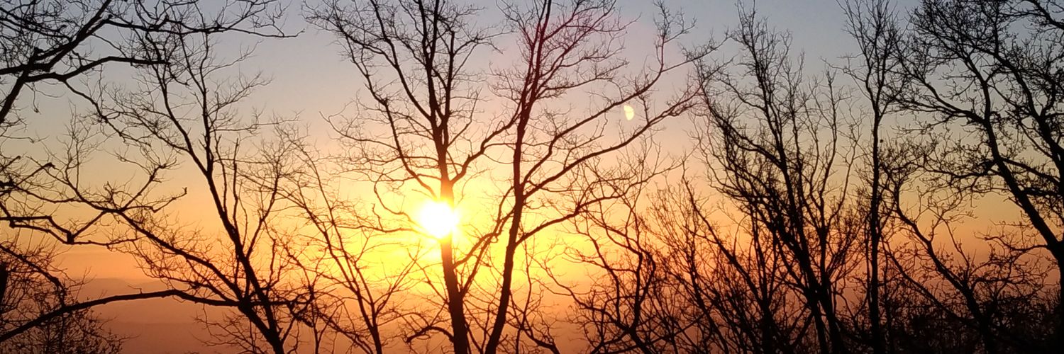 sol_lucia's profile banner image