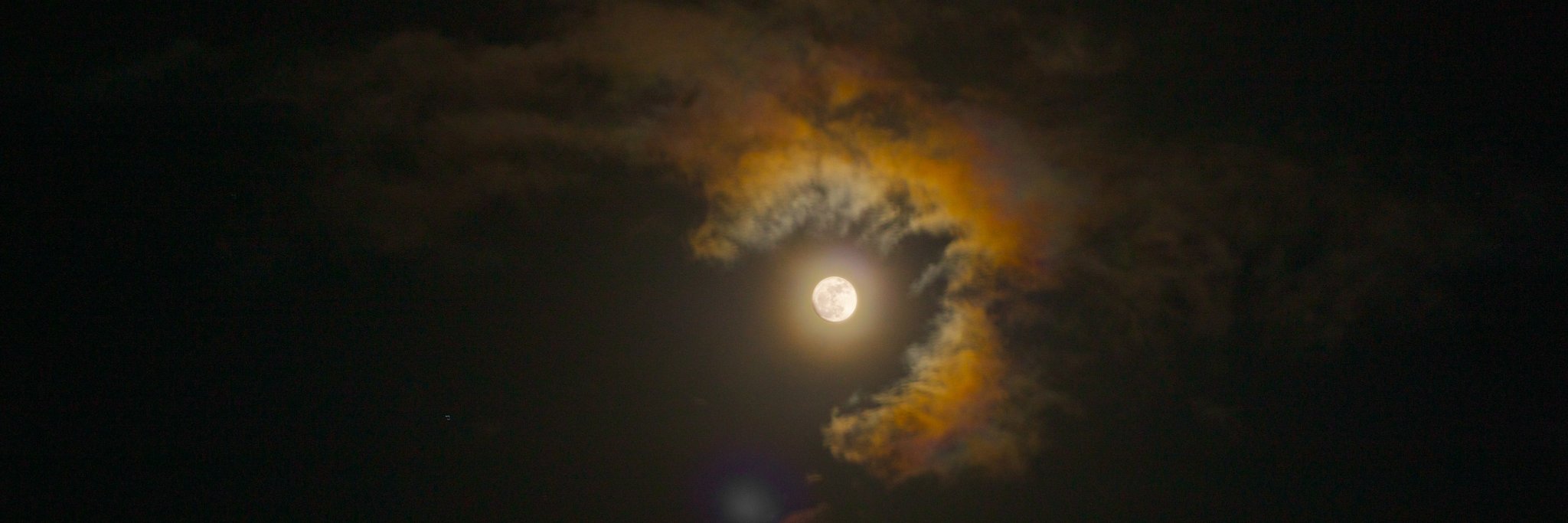 Chris Bachmann banner