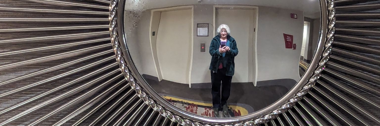 Andrea Perry Lerner 🌻 banner