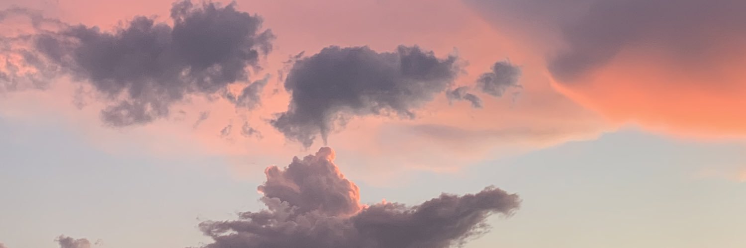 lauulara's profile banner image