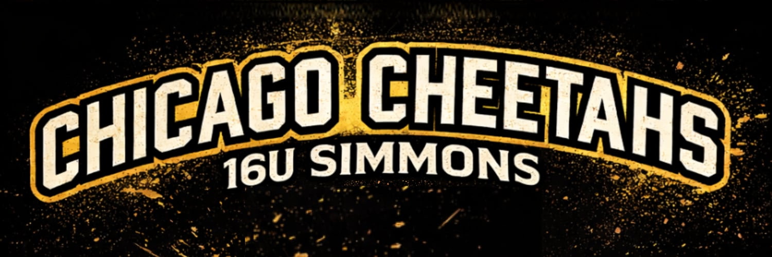 Chicago Cheetahs 16u banner