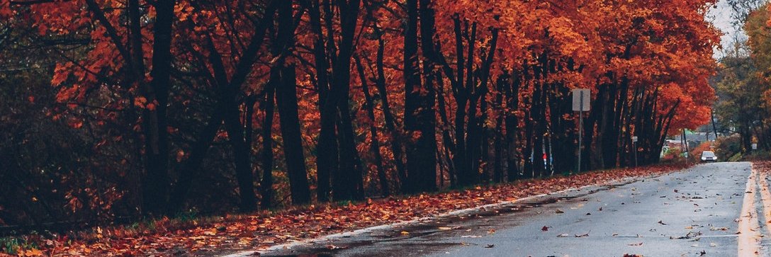 86miftakhul's profile banner image