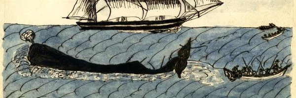 nautieval Profile Banner