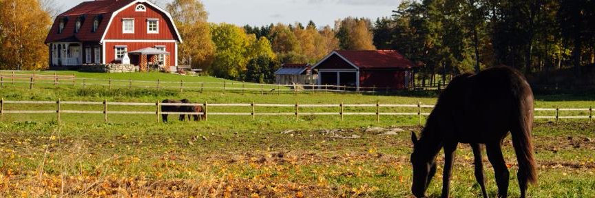 BCFarmandRanch's profile banner image
