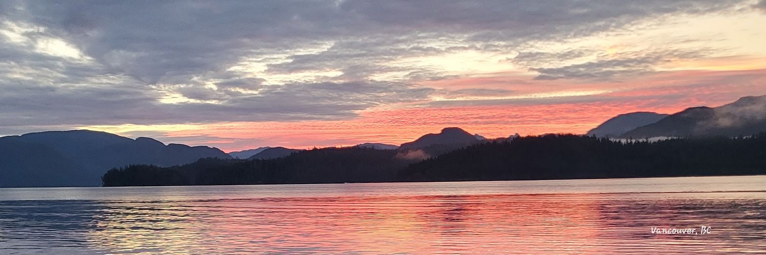 boydpelley's profile banner image
