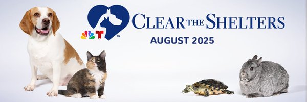 nbcsandiego Profile Banner