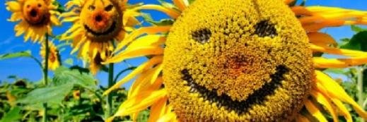Timofeewna's profile banner image
