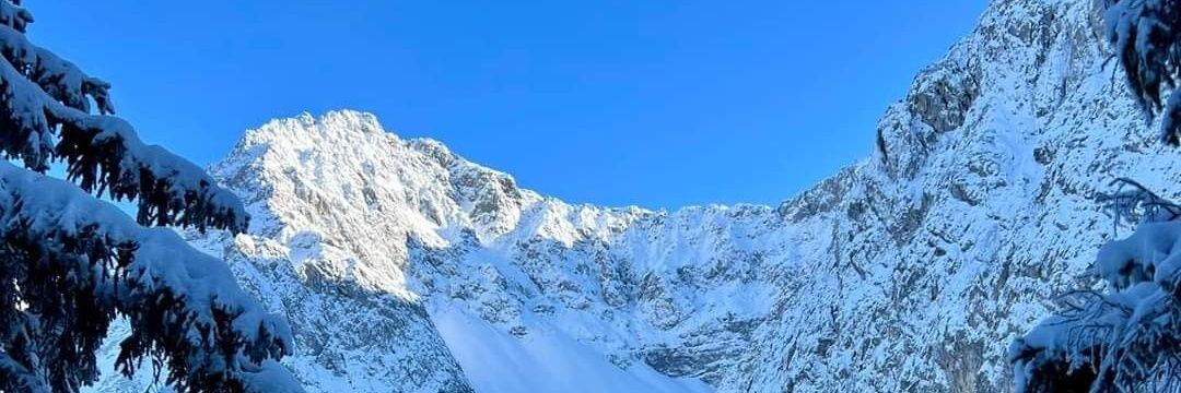 Семён Колмайер's banner