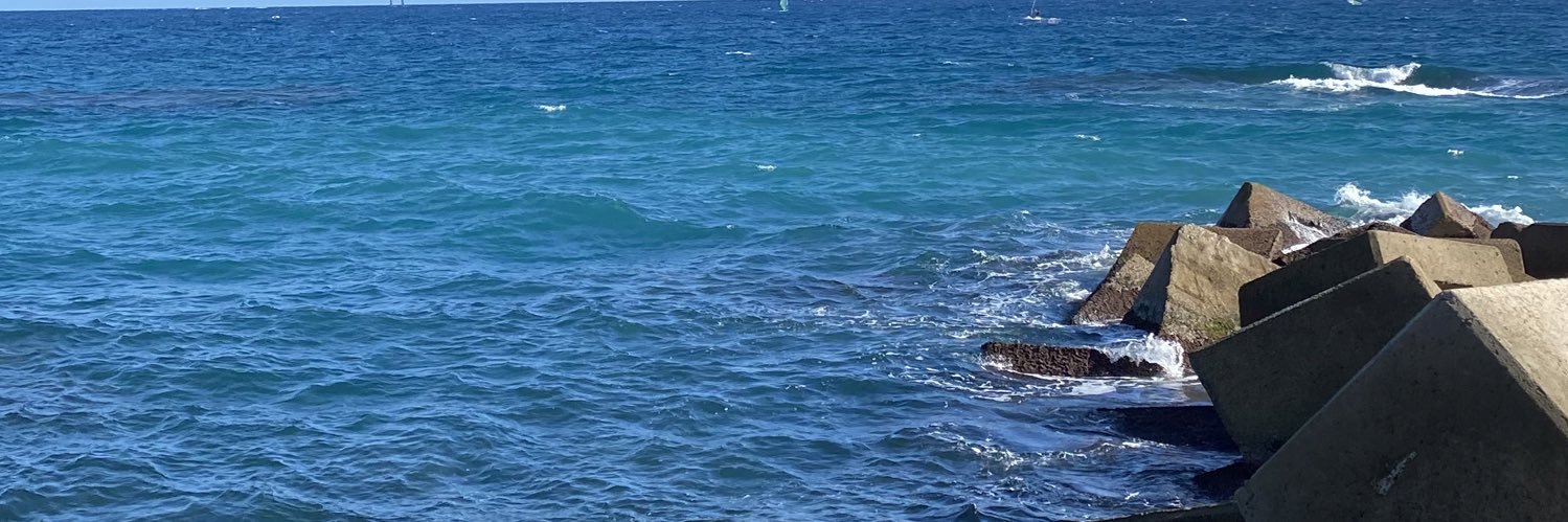 Beereniche's profile banner image