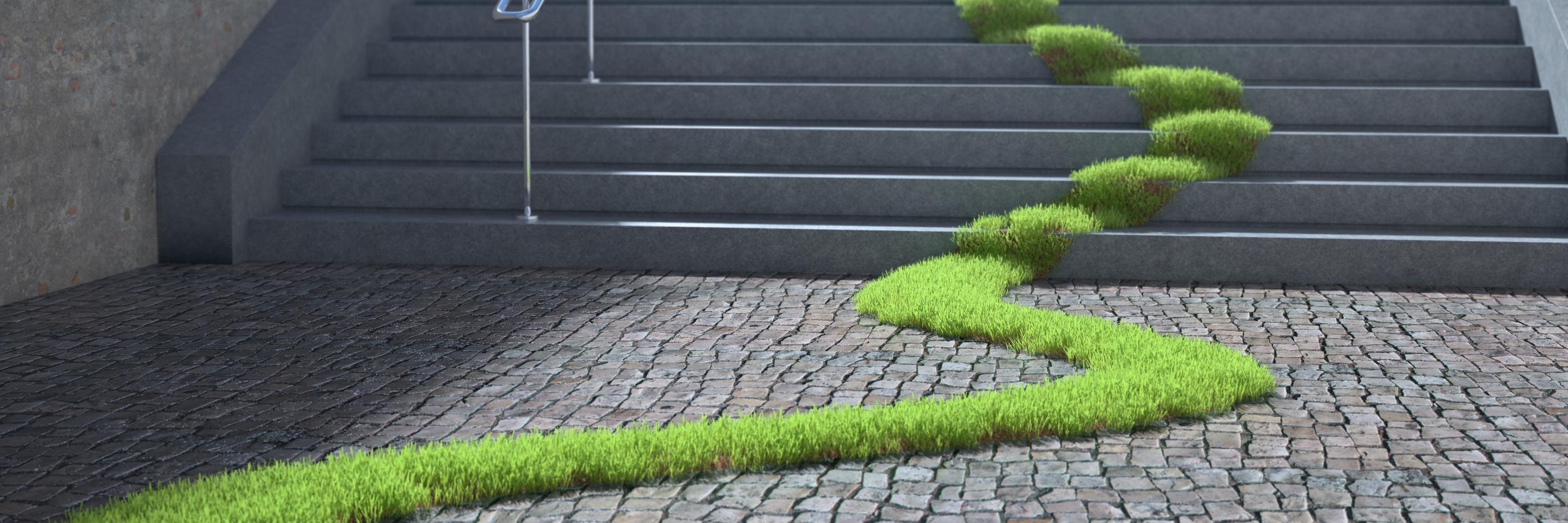 PHGrowers's profile banner image