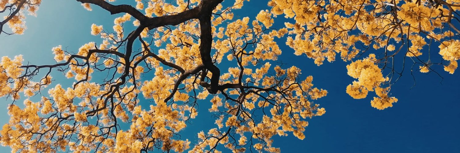 michvazcor's profile banner image