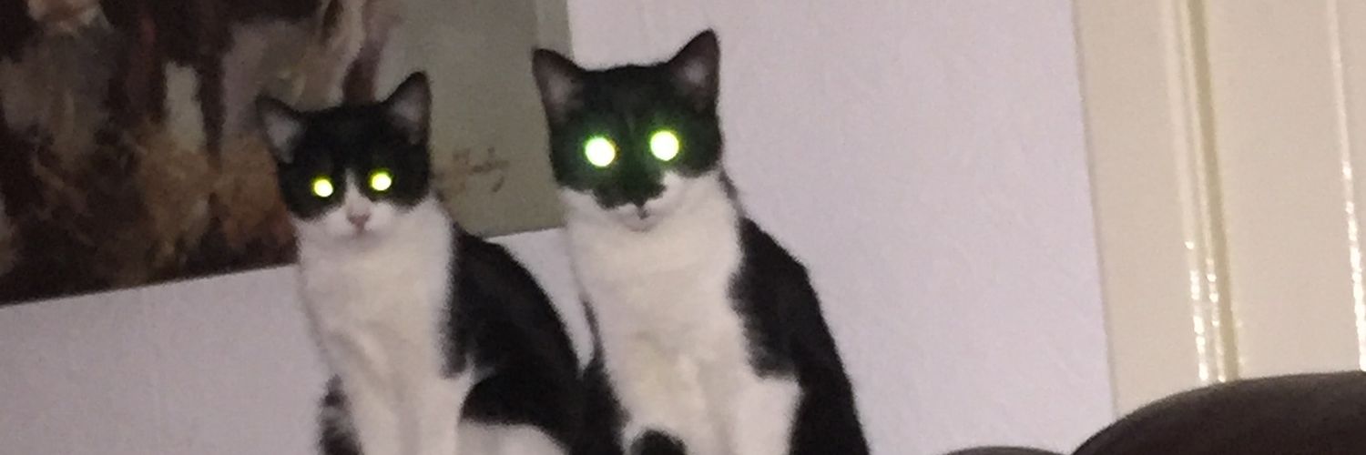 Princess Pinnie CBA👸 banner