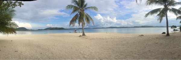 puerpledee Profile Banner