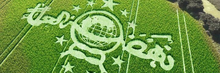 chamidavian's profile banner image