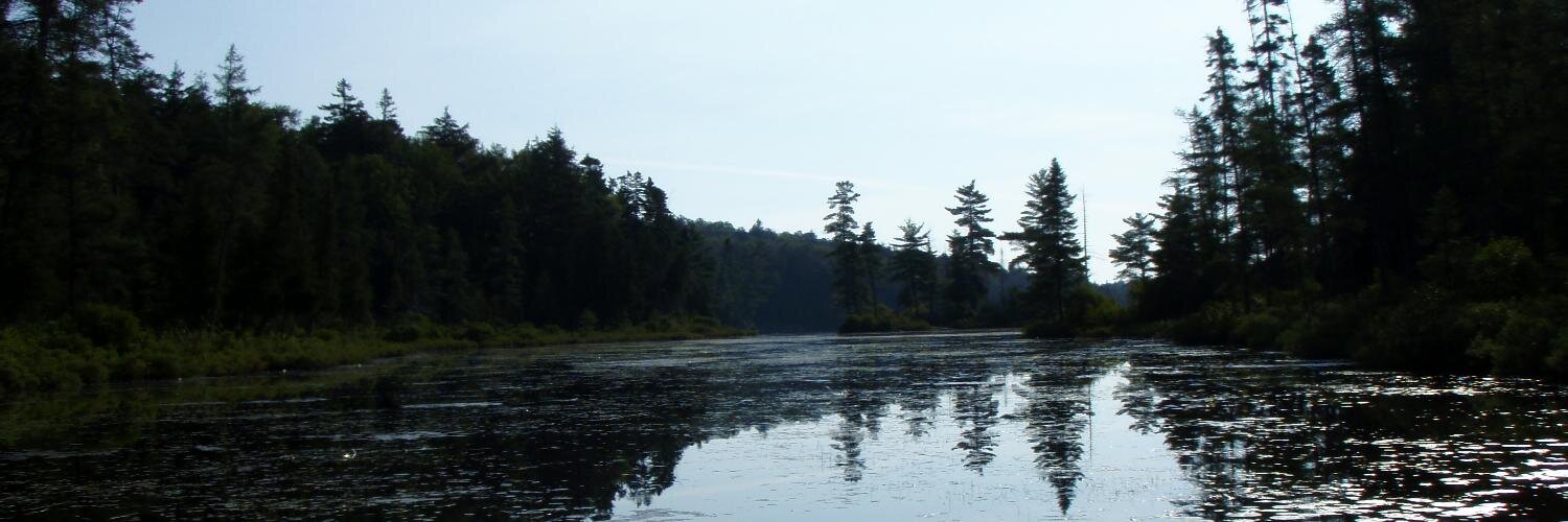 MsBulger's profile banner image