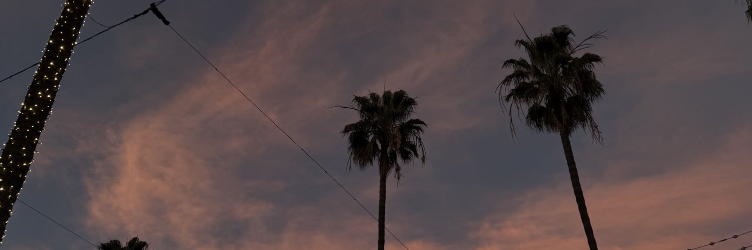 jodie banner