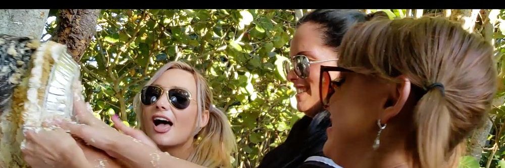 Pieboy For Goddesses❤ banner