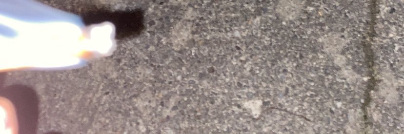 😽🍃🫶🏽 banner