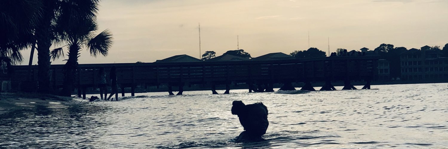 MajorKi 👑 banner