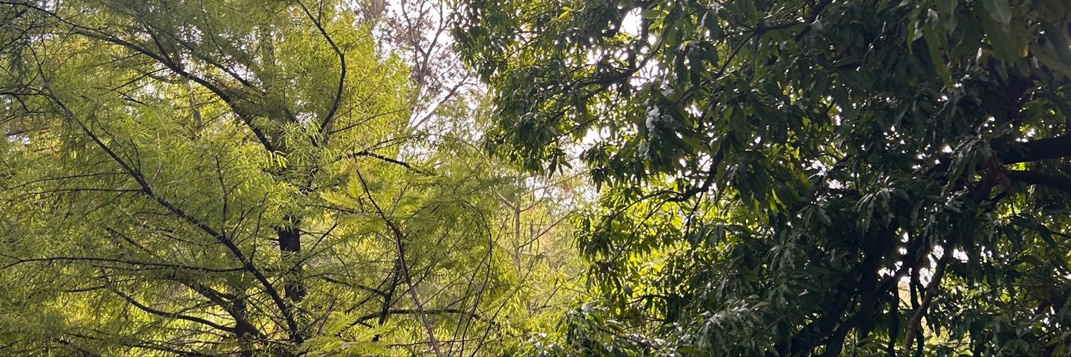 claudiofg_'s profile banner image
