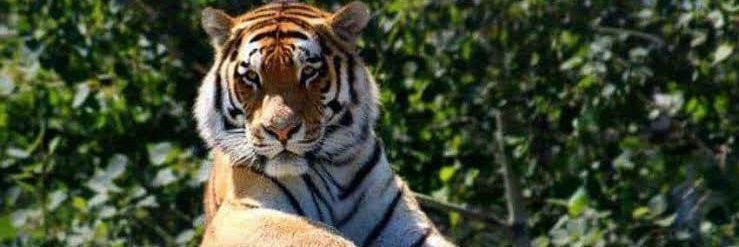 IAS PCS factory banner