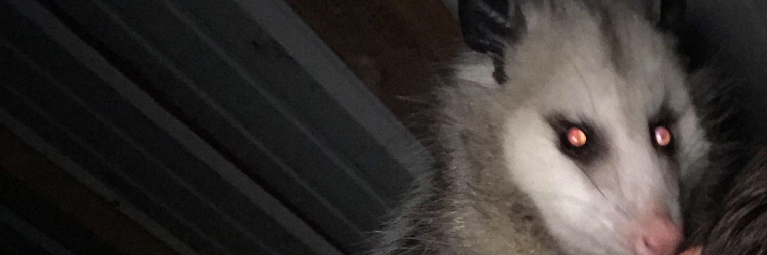 t_teathers's profile banner image