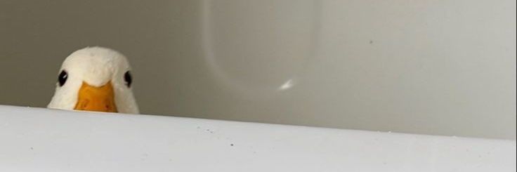 Carts R Awesome banner