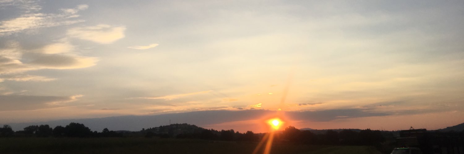 jessieFlres's profile banner image