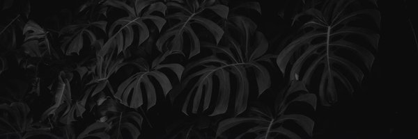 UnstableCryso Profile Banner