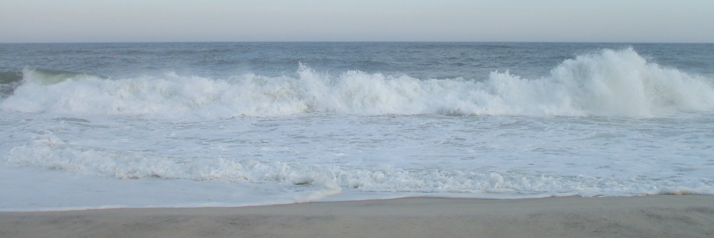 Marie J. Miczak banner