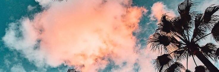 1234Delfi's profile banner image