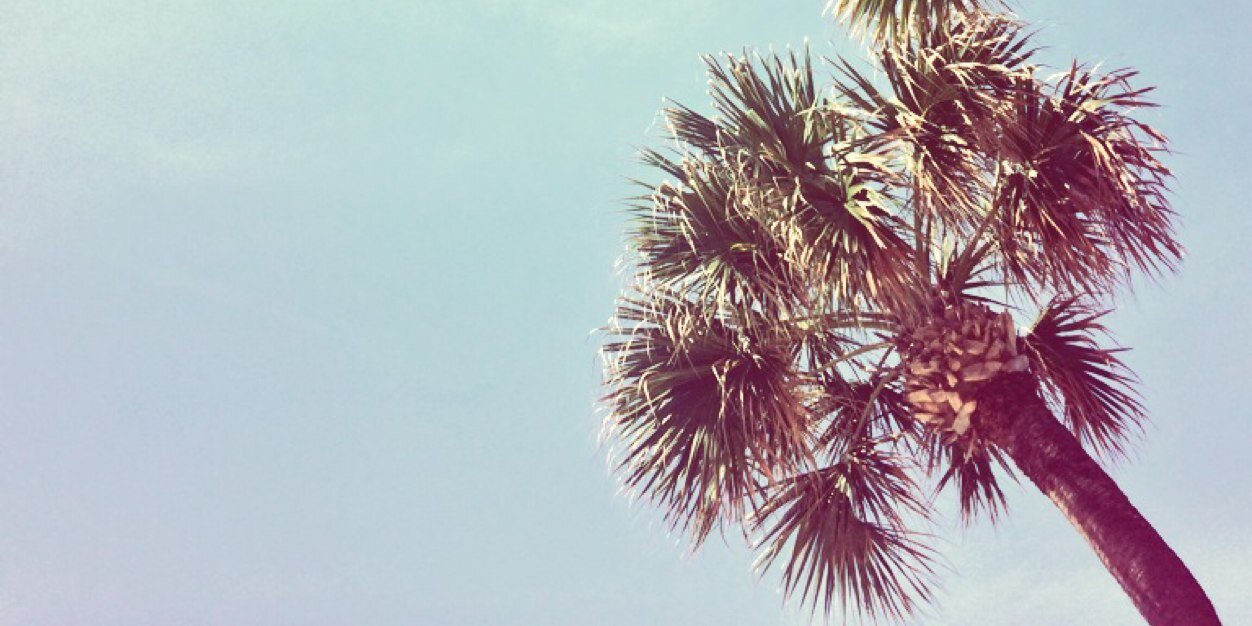 Suz2295's profile banner image