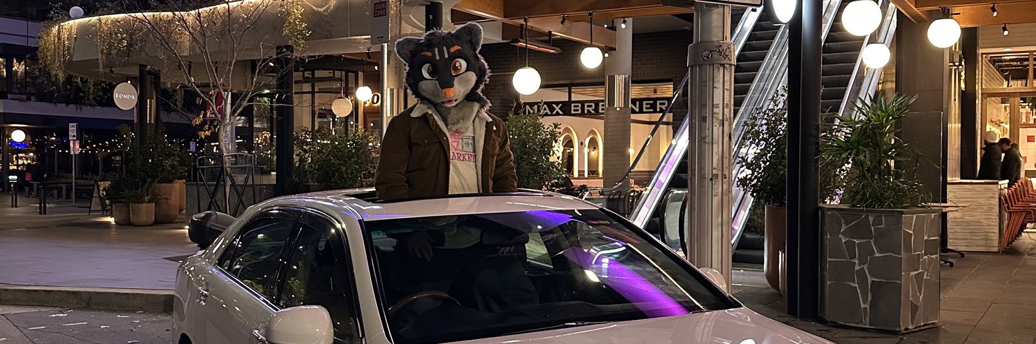 🦝slyyracc🦝's banner