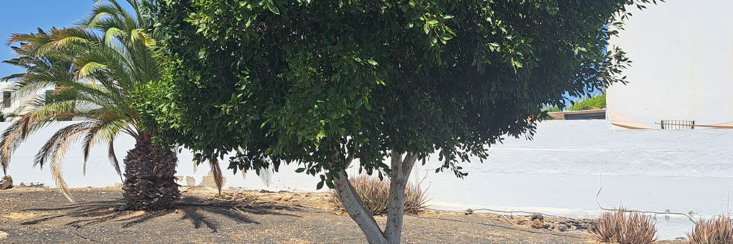 AdamMoloney15's profile banner image