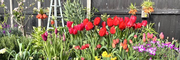 peterpeatfree Profile Banner