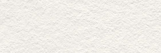 rayya 🐬 banner
