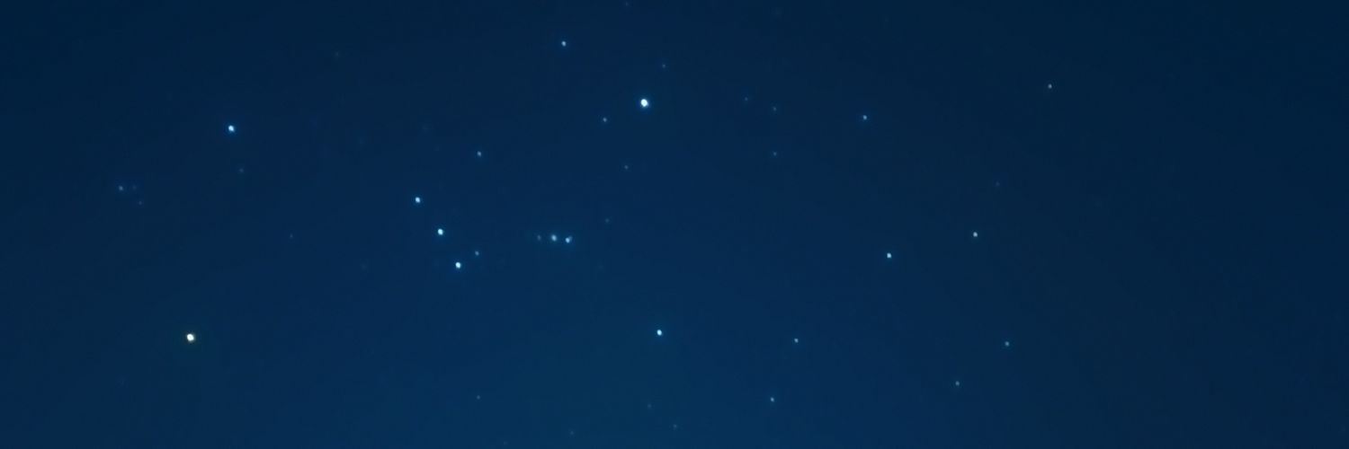leletapianjing's profile banner image