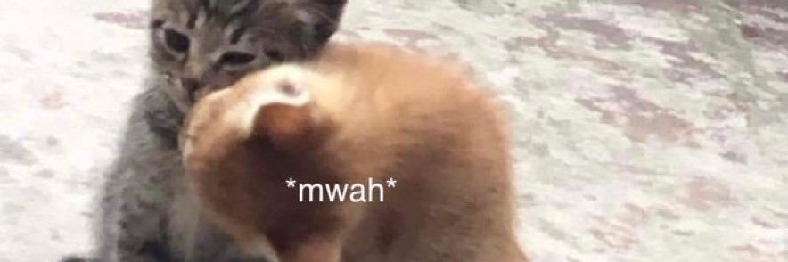 hoe4literature's profile banner image