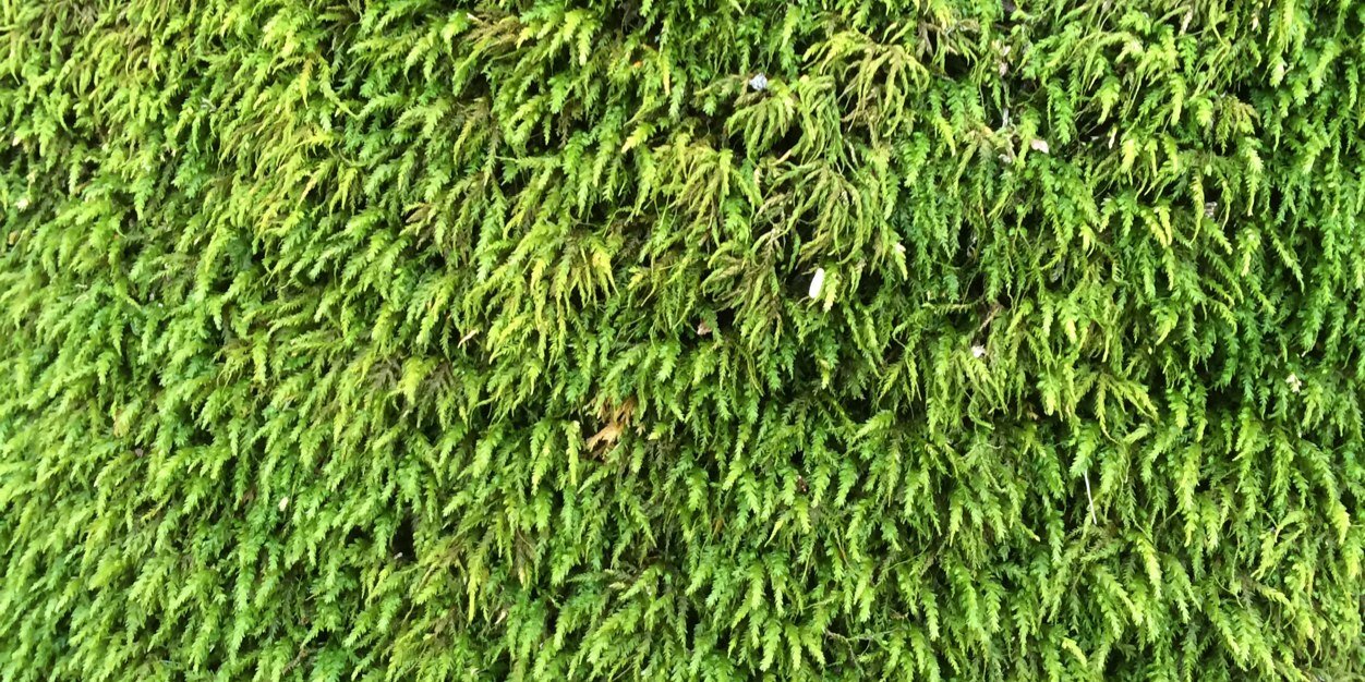 skcullimore's profile banner image
