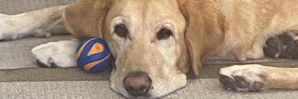 ScottTillingha3 Profile Banner