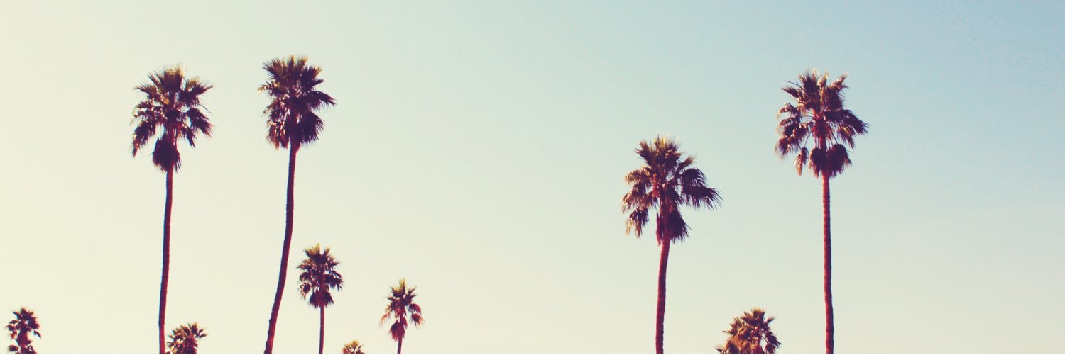 lauren schmidt banner