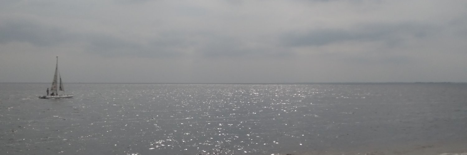 RadikLyashko's profile banner image