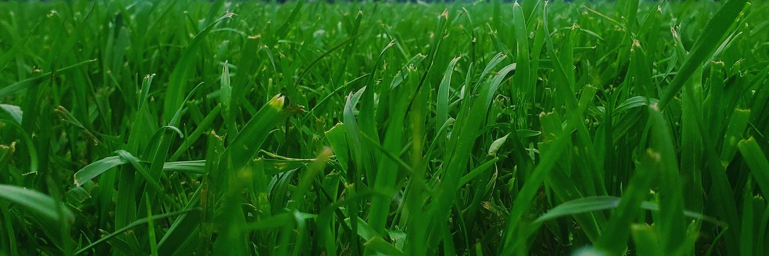 Sebastián Perona González banner