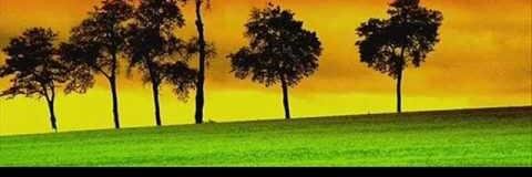 ruanbarroso's profile banner image