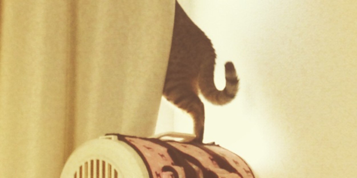 tbminamiii's profile banner image