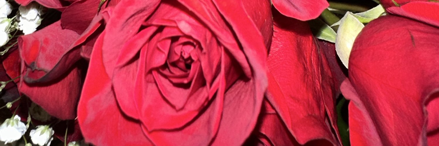 _robinbee's profile banner image