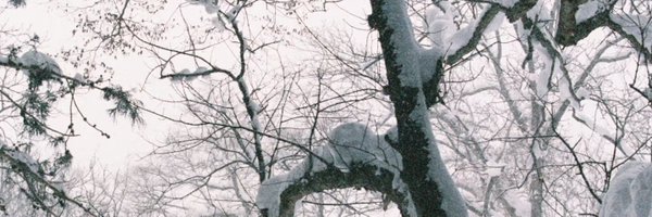 saltmuke Profile Banner