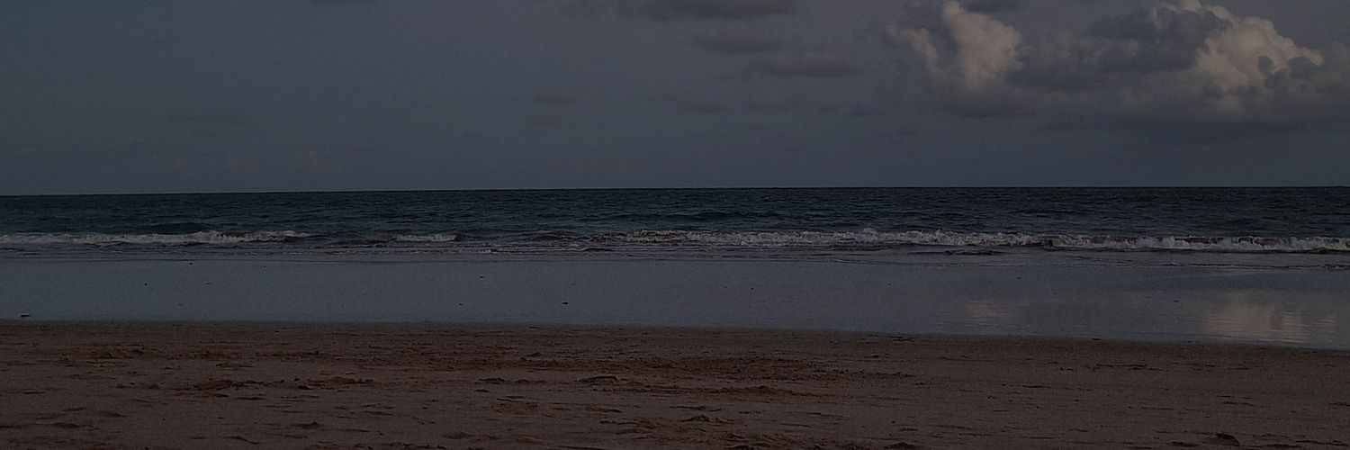 pedro banner